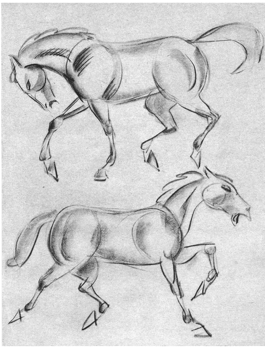 The head of the horse may be contained in two basic forms Within these two - photo 15