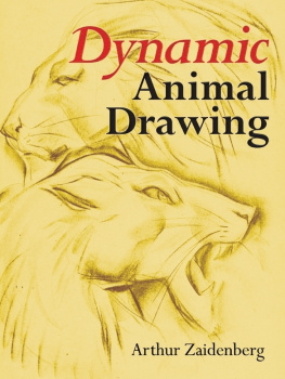 Arthur Zaidenberg Dynamic Animal Drawing