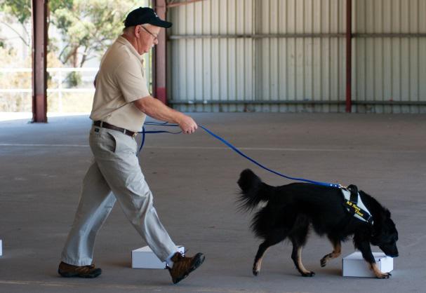 The manual does not attempt to cover all areas of canine olfaction and odor - photo 2