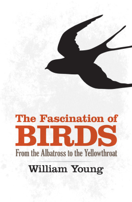 William Young The Fascination of Birds: From the Albatross to the Yellowthroat