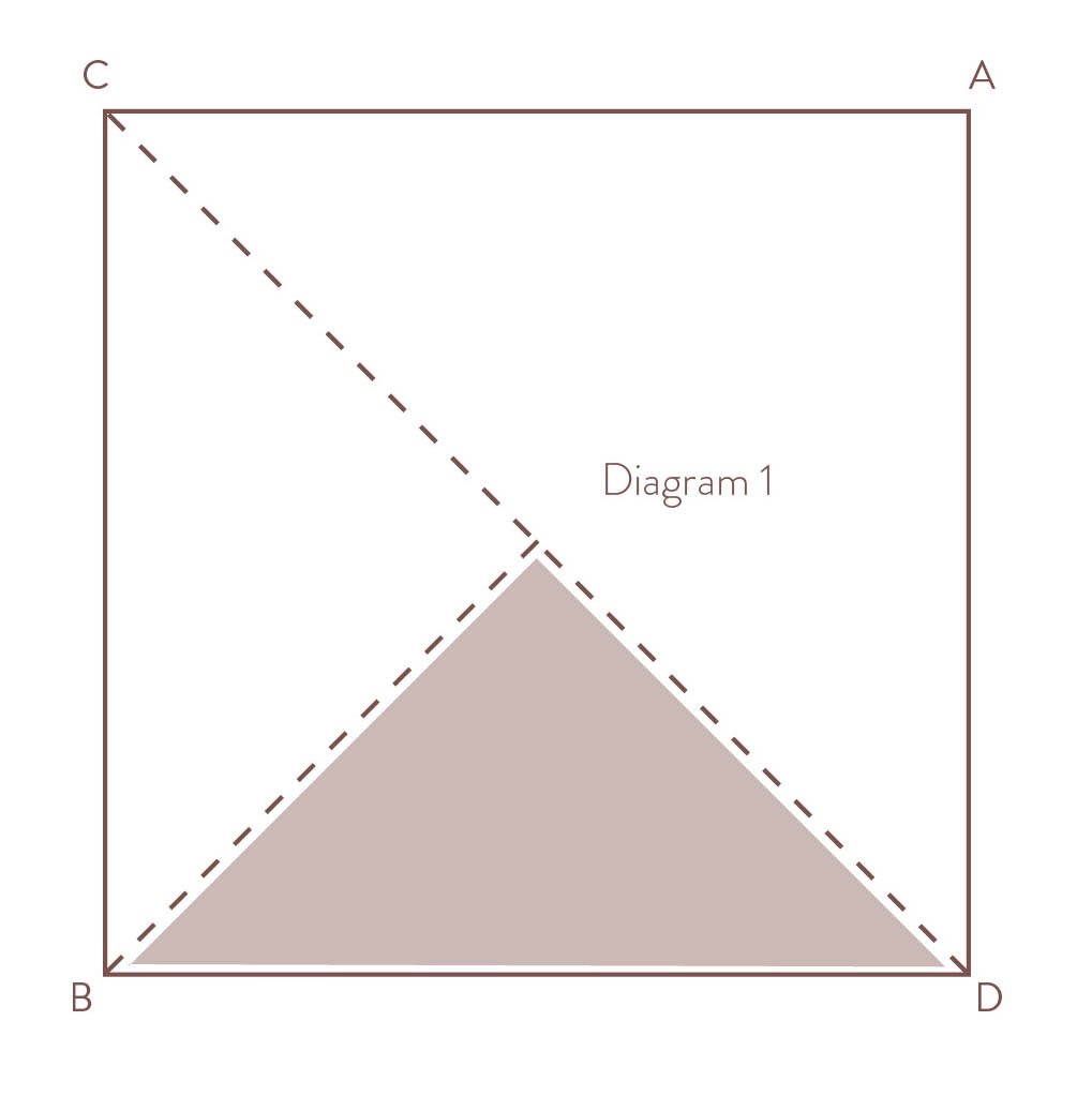 Diagram 1 Fold corner A down to B After each fold run your fingernailalong - photo 5