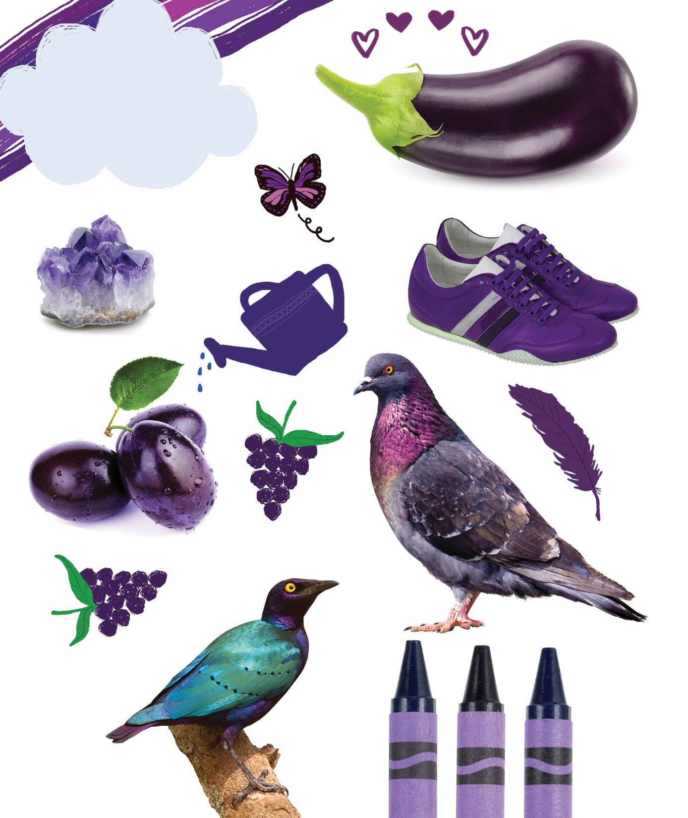 purple starling V i olet And your very last colorvivid violet - photo 29