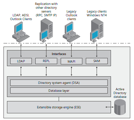 Figure 2 Active Directory can interoperate with clients and other directory - photo 3