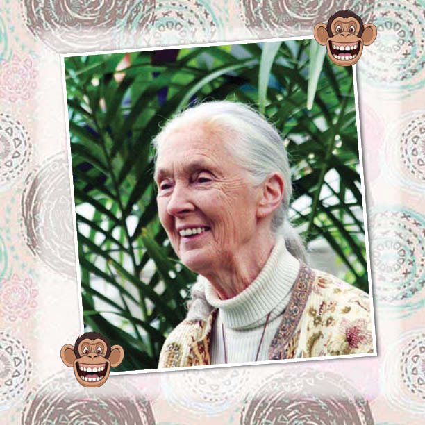 The Lady Who Loved Chimpanzees - The Jane Goodall Story Biography 4th Grade - photo 15