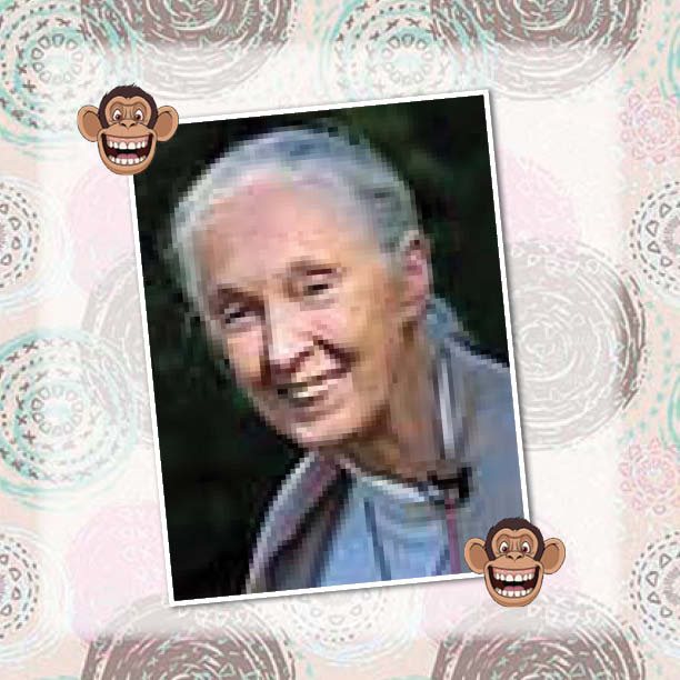 The Lady Who Loved Chimpanzees - The Jane Goodall Story Biography 4th Grade - photo 16