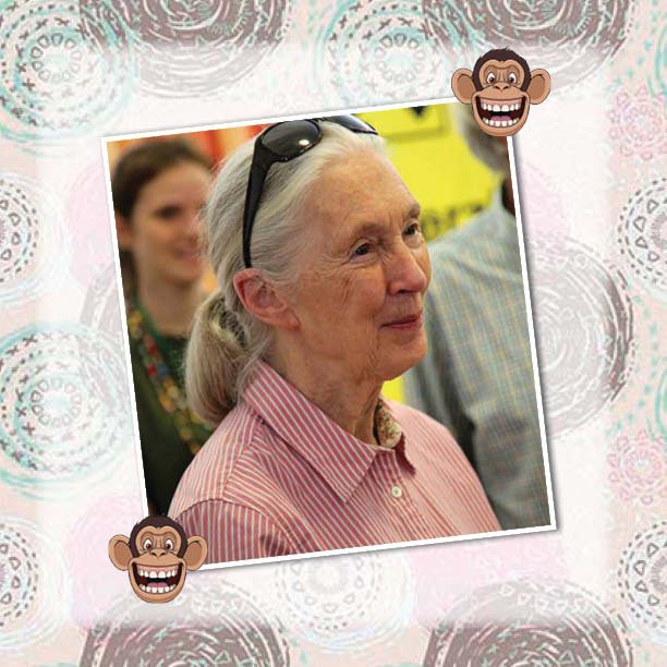 The Lady Who Loved Chimpanzees - The Jane Goodall Story Biography 4th Grade - photo 20