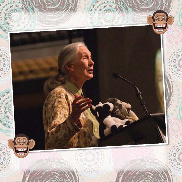 The Lady Who Loved Chimpanzees - The Jane Goodall Story Biography 4th Grade - photo 25