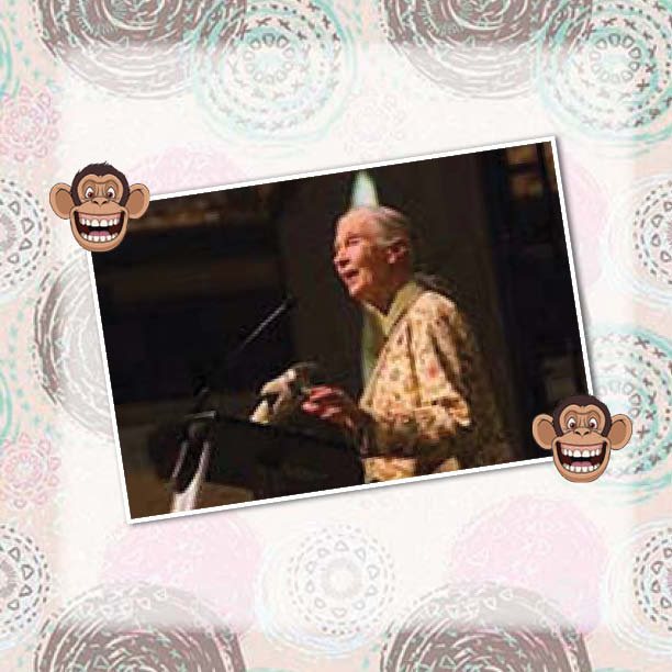 The Lady Who Loved Chimpanzees - The Jane Goodall Story Biography 4th Grade - photo 28