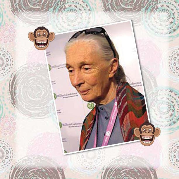 The Lady Who Loved Chimpanzees - The Jane Goodall Story Biography 4th Grade - photo 36