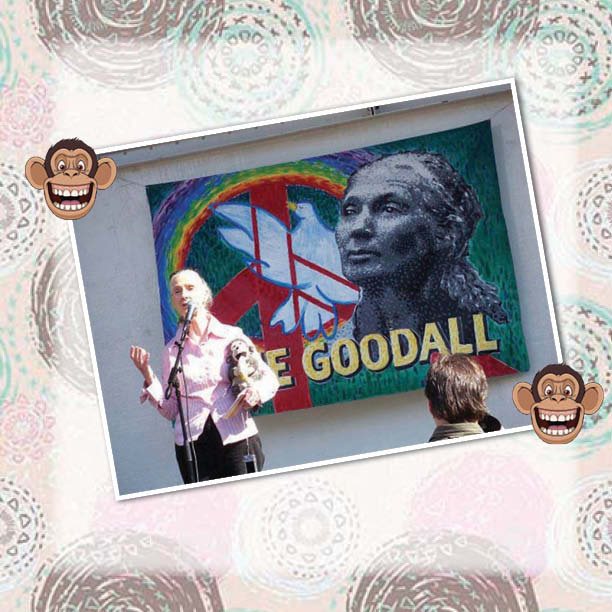 The Lady Who Loved Chimpanzees - The Jane Goodall Story Biography 4th Grade - photo 40