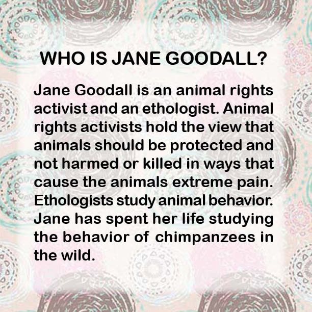 The Lady Who Loved Chimpanzees - The Jane Goodall Story Biography 4th Grade - photo 4