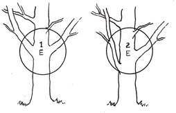 This brings up the problem of tapering the branches This tapering must be - photo 3