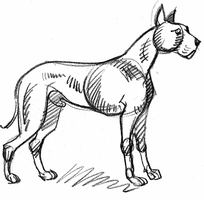 How to Draw Dogs Cats and Horses - photo 6