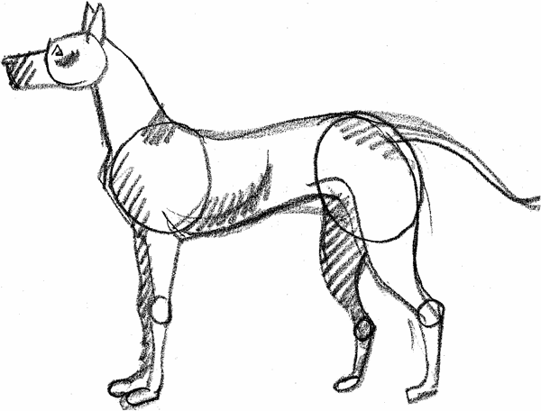 How to Draw Dogs Cats and Horses - photo 11