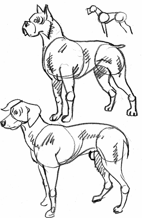 How to Draw Dogs Cats and Horses - photo 13