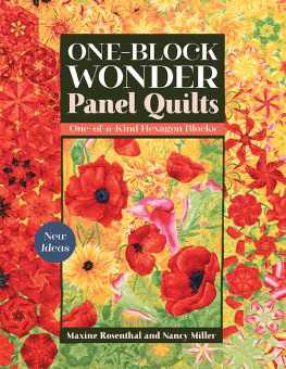 Maxine Rosenthal One-Block Wonder Panel Quilts: New Ideas; One-of-a-Kind Hexagon Blocks