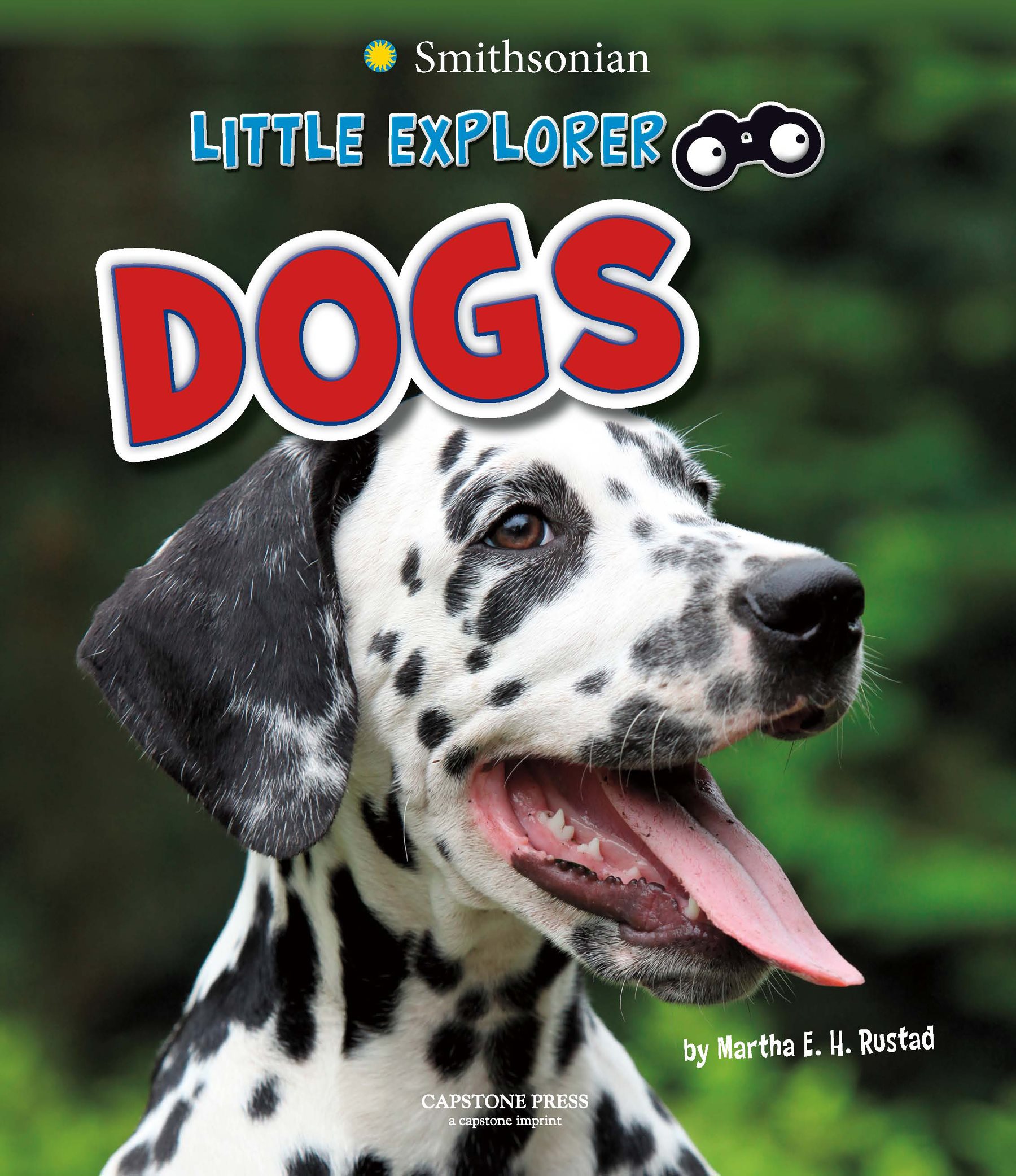 Little Explorer is published by Capstone Press 1710 Roe Crest Drive North - photo 1