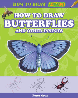 Peter Gray - How to Draw Butterflies and Other Insects