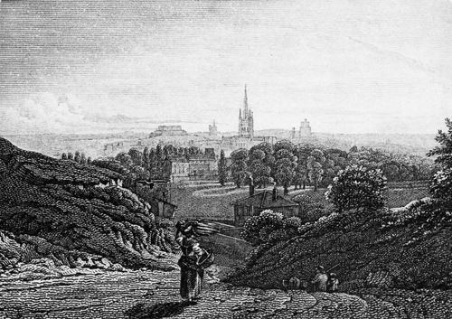 The view from Mousehold Heath in 1818 A number of people helped me in - photo 3