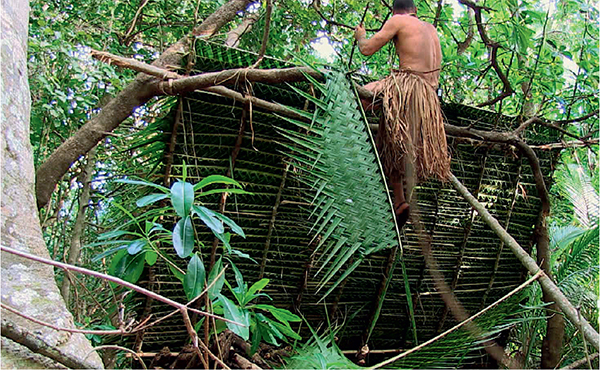 My new home Putting the finishing touches to my shelter it was time to move - photo 14