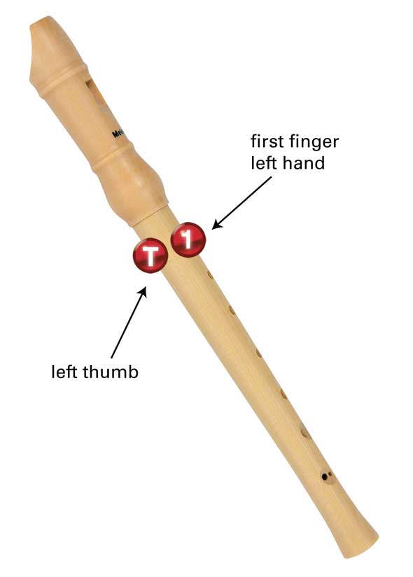 How To Sound A Note The first note you will learn to play is the B note as - photo 12