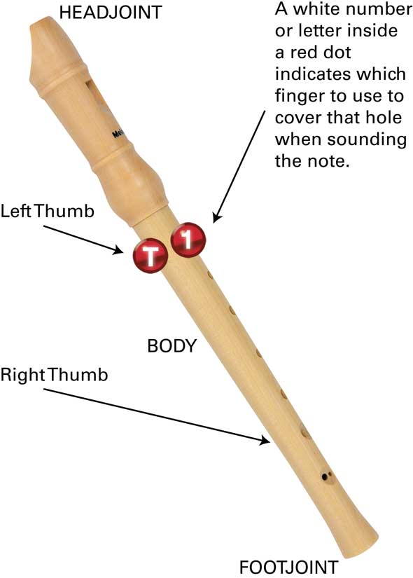 How To Sound A Note The first note you will learn to play is the B note as - photo 13