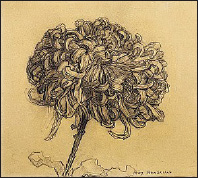 Chrysanthemum 190809 Charcoal on paper 254 287 cm Solomon R Guggenheim - photo 5