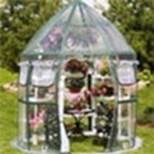 The ideal time to sow seeds is coming rightup If you have a small greenhouse - photo 3