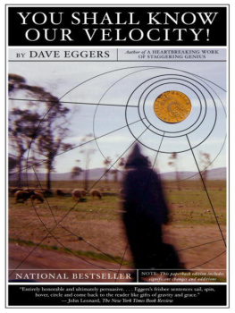 Dave Eggers - You Shall Know Our Velocity