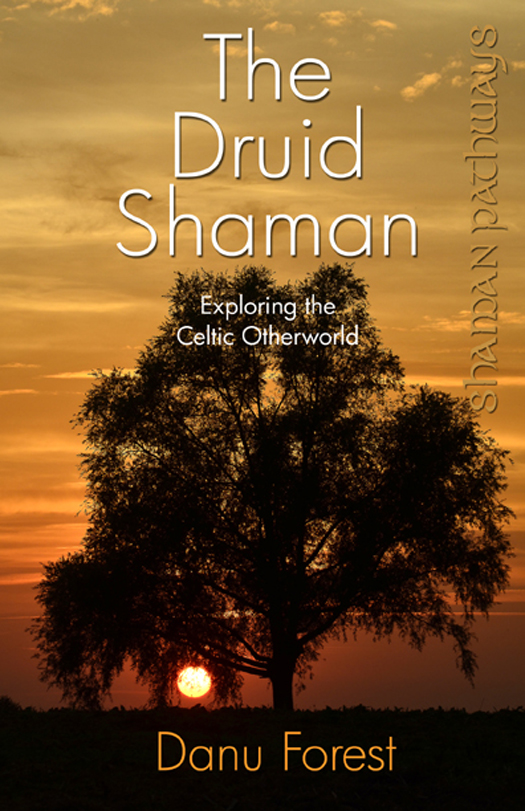 WHAT PEOPLE ARE SAYING ABOUT THE DRUID SHAMAN A sound practical introduction - photo 1