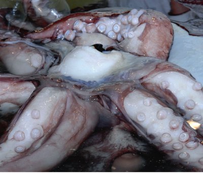 Giant squid live deep in the ocean and are rarely seen They eat different - photo 20