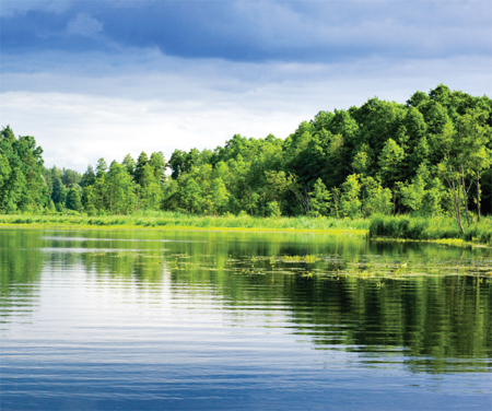 Image Credit Shutterstock Ponds are LITTLE pools of fresh water Lakes are BIG - photo 6