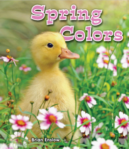 Brian Enslow Spring Colors