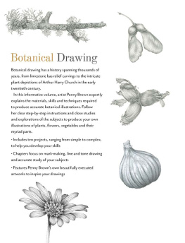 Penny Brown - Botanical Drawing: A Step-by-Step Guide to Drawing Flowers, Vegetables, Fruit and other Plant Life