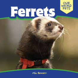 Mia Bennett - Ferrets