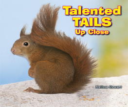 Melissa Stewart Talented Tails Up Close