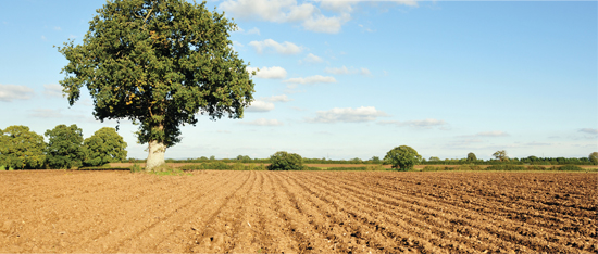 Image Credit Shutterstockcom Soil covers much of our land We need it for - photo 2