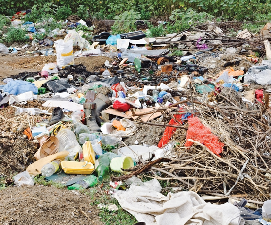 Image Credit Shutterstockcom Open trash dumps are not good for people or our - photo 6