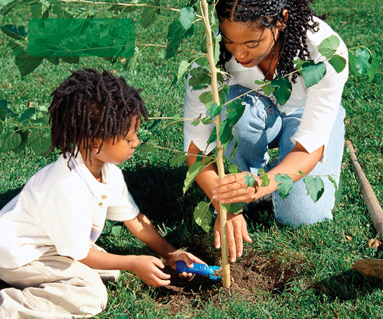 Image Credit Photoscom Planting a new tree is one way we can help save our - photo 8