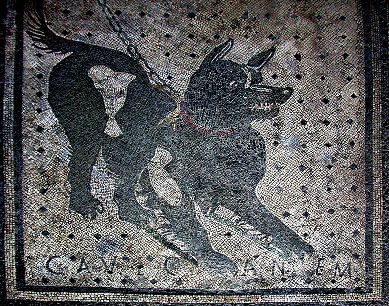 Figure 12 Dog mosaic Collapsing on the Palatine Hill reeling from all theyd - photo 3