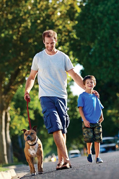 Walking your dog is a great way for both of you to get some exercise Ready to - photo 8