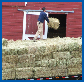 Image Credit Howling Wolf Farm It is lots of work to move the hay into the - photo 8