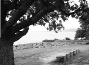 Ari Burnu Cemetery overlooking Anzac Cove where some of the first Anzacs to - photo 7