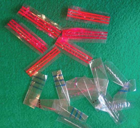 Plastic Baggies Clear plastic baggies of different sizes Gallon size or - photo 5