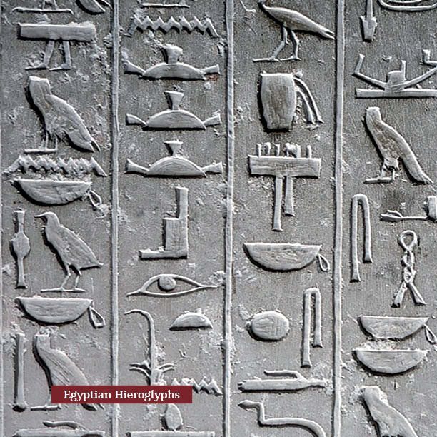 Writing Hieroglyphics with Actual Examples History Kids Books - photo 18