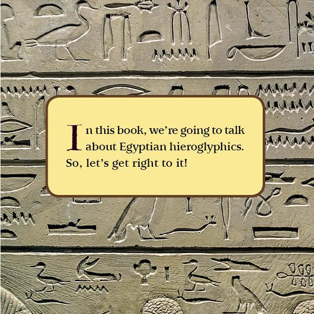 Writing Hieroglyphics with Actual Examples History Kids Books - photo 3