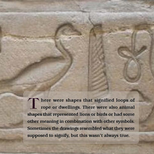 Writing Hieroglyphics with Actual Examples History Kids Books - photo 35