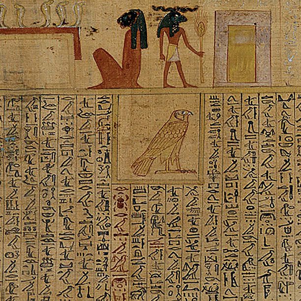 Writing Hieroglyphics with Actual Examples History Kids Books - photo 38