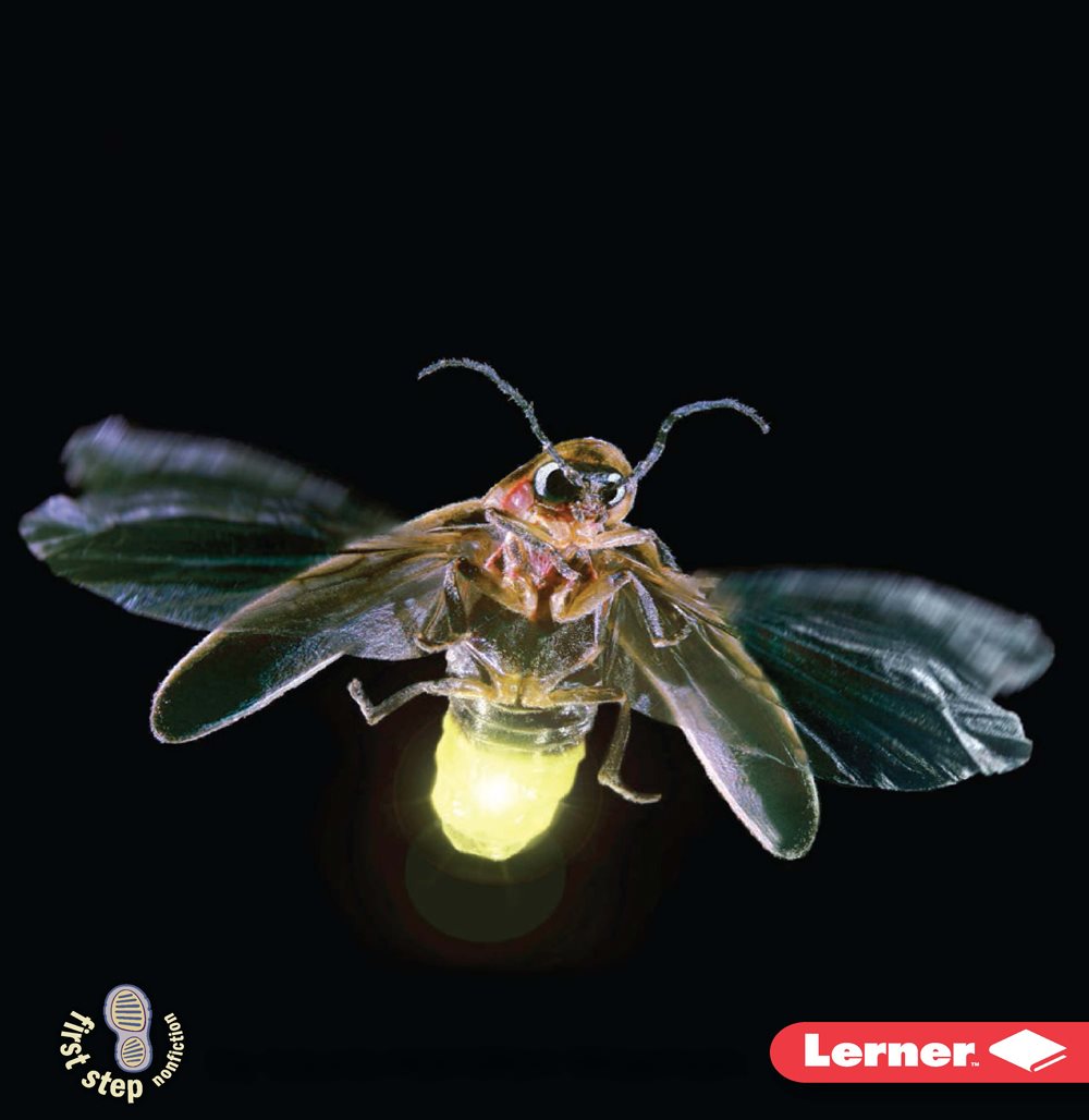 Flashing Fireflies by Laura Hamilton Waxman Expand learning beyond the - photo 1