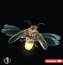 Laura Hamilton Waxman - Flashing Fireflies: Backyard Critters